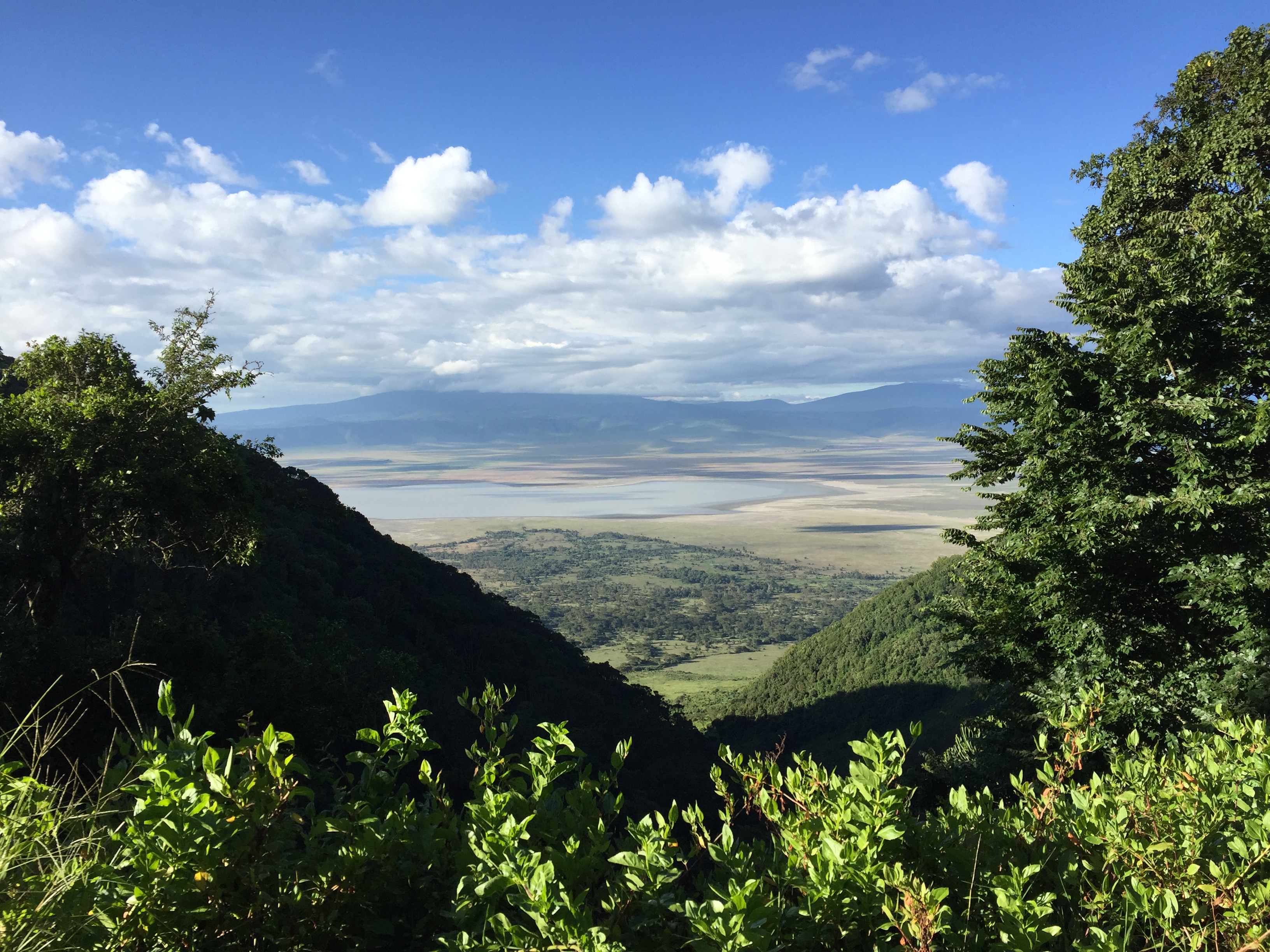 Daytrip Ngorongoro